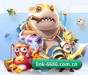 6686体育的故事