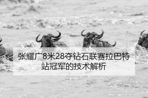 张耀广8米28夺钻石联赛拉巴特站冠军的技术解析
